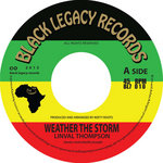 WEATHER THE STORM