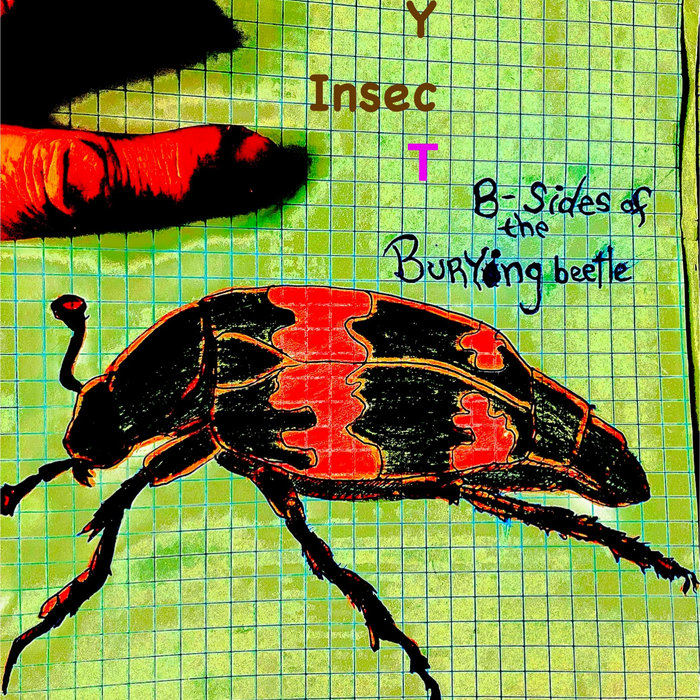 Bursion Insect The Burying | Heavy Insect