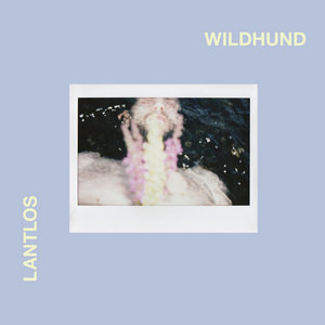 Wildhund (Deluxe Edition) cover