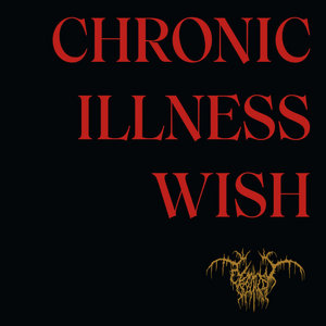 Genital Shame — Chronic Illness Wish