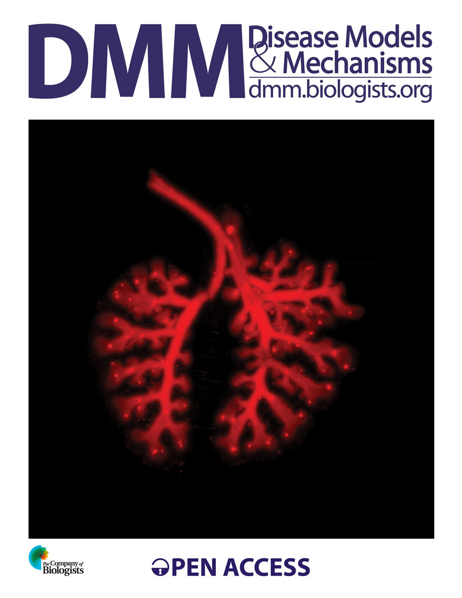 Tumor Associated Antigens Pdf Download Vyrtuzeyr turlyferrechi