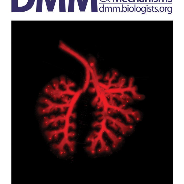 tumor-associated-antigens-pdf-download-vyrtuzeyr-turlyferrechi