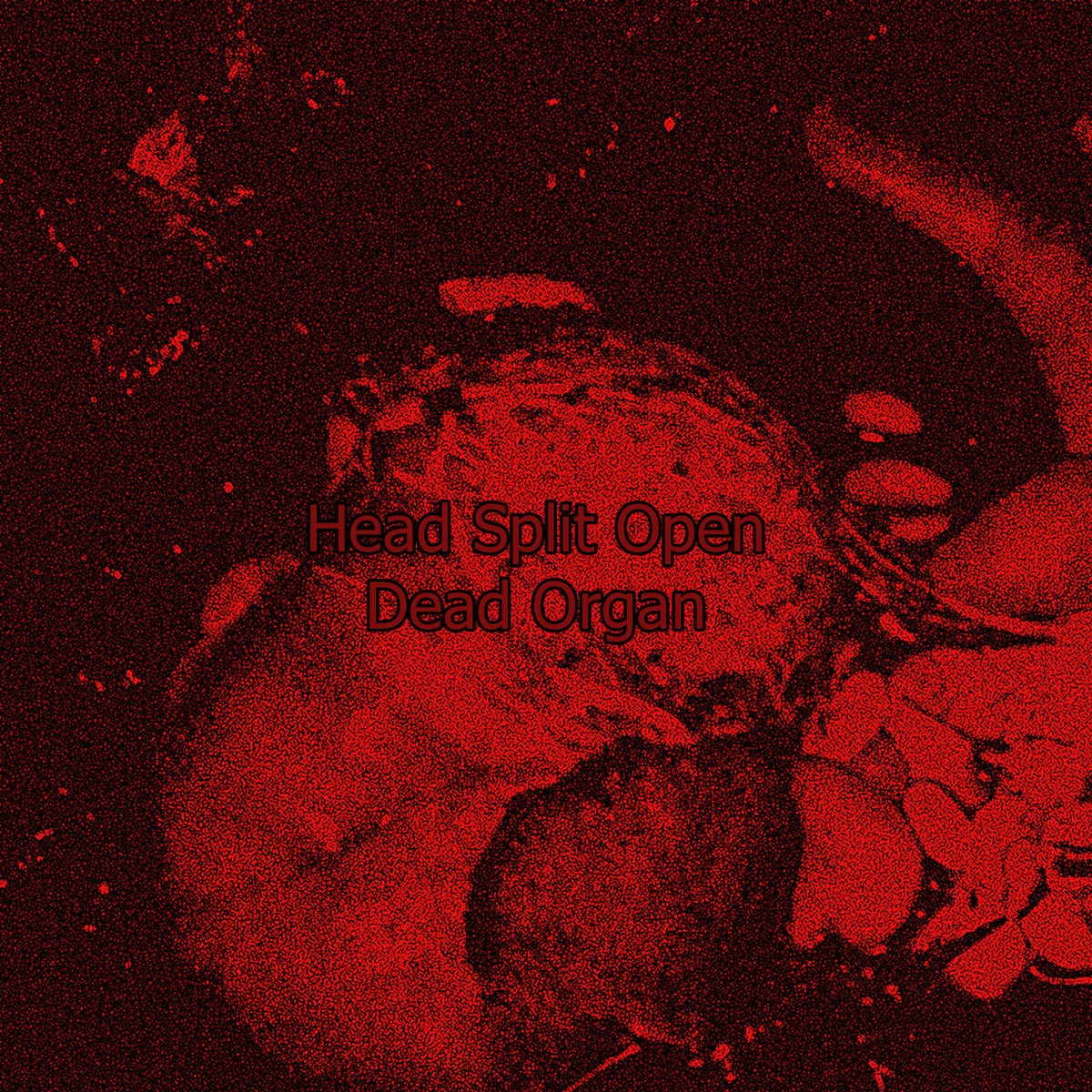 Dead Organ Head Split Open Wall Noise Action Man's head split open in car collision with concrete barrier. wall noise action bandcamp