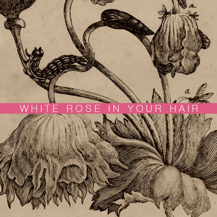 White Rose in Your Hair Pelos