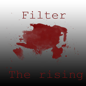 Filter cover