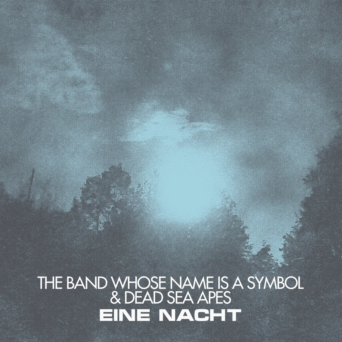 Eine Nacht | The Band Whose Name Is A Symbol & Dead Sea Apes