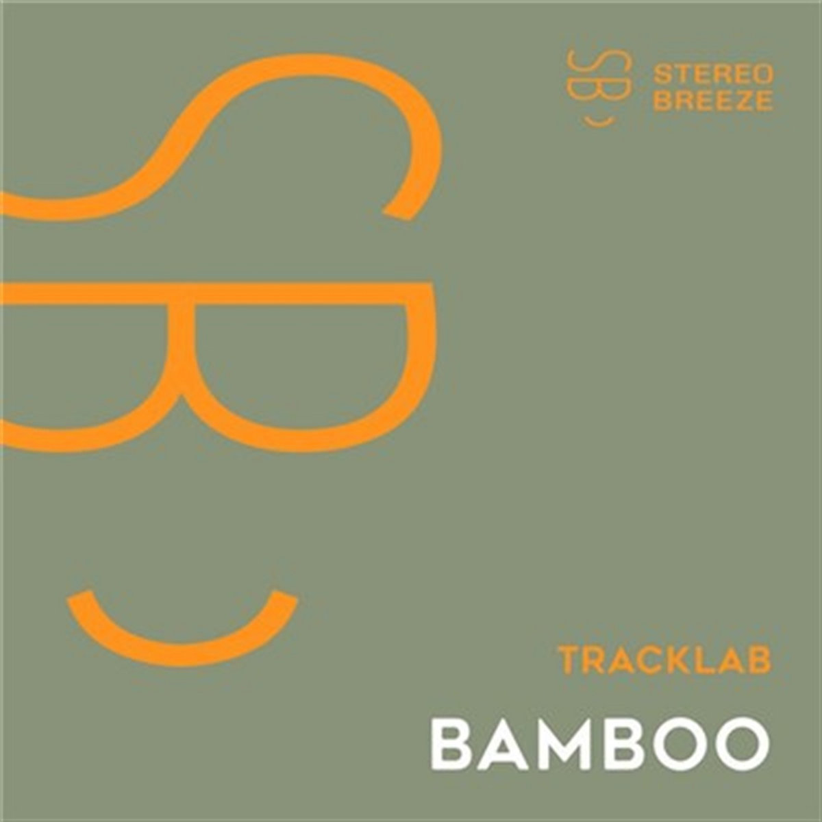 Tracklab Bamboo | TrackLab