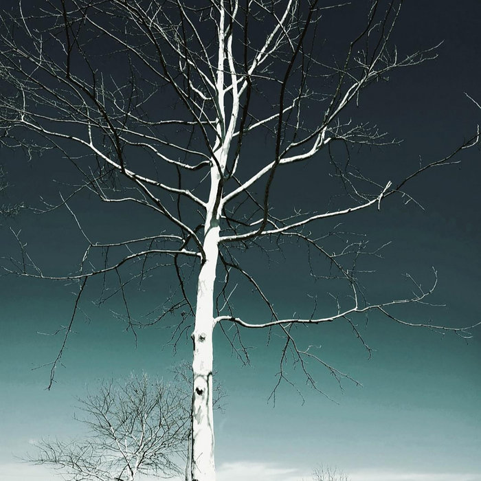 flourish. ornament. embellish. Colin Donovan