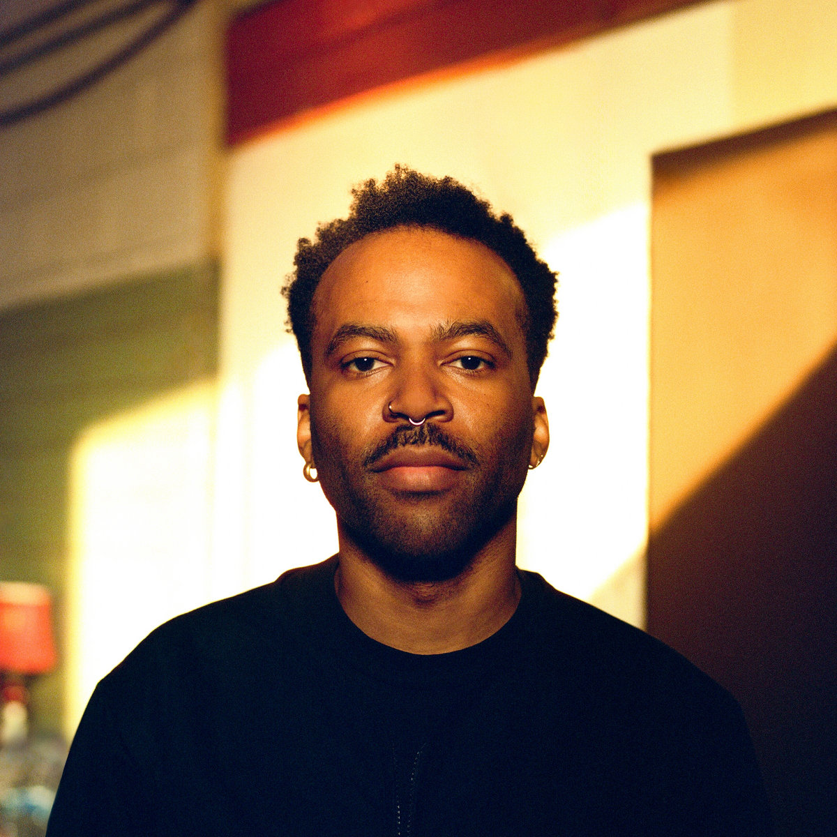 Josh Johnson Animative - LTD (LP)