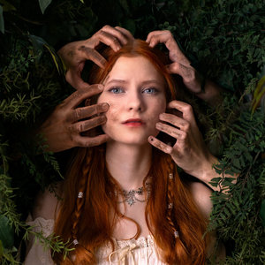 Bears & Wolves cover