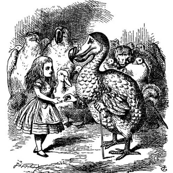 yasushiyasushi's collection Bandcamp