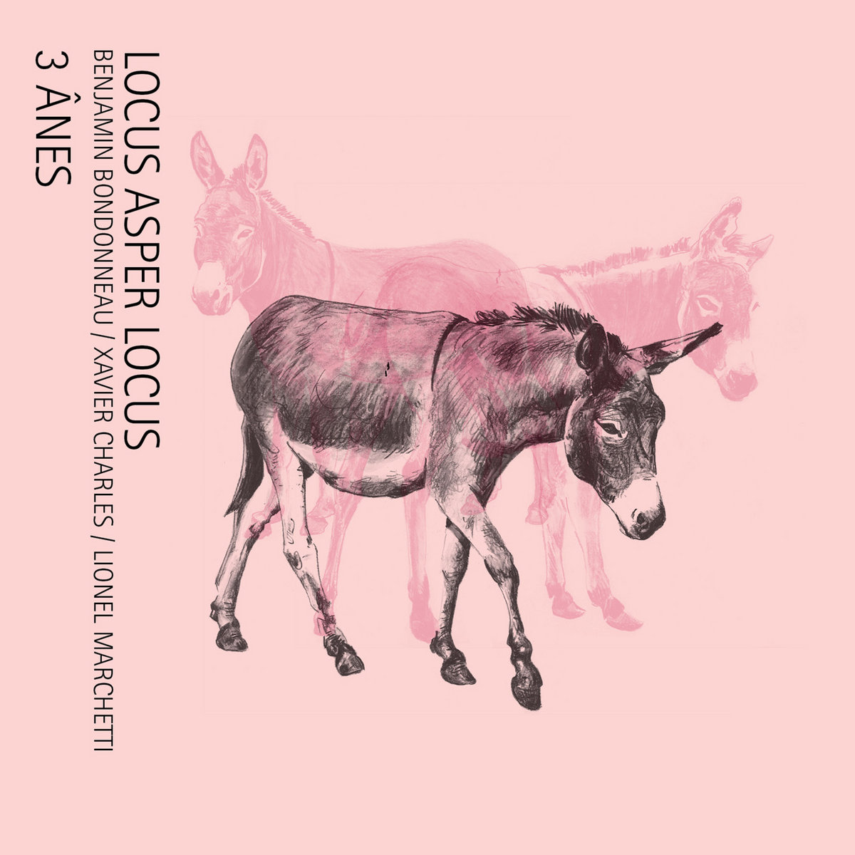 3 ÂNES | Locus Asper Locus : Benjamin Bondonneau, Xavier