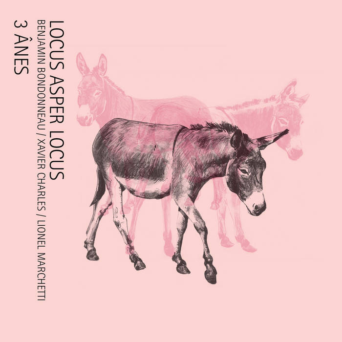 3 ÂNES | Locus Asper Locus : Benjamin Bondonneau, Xavier