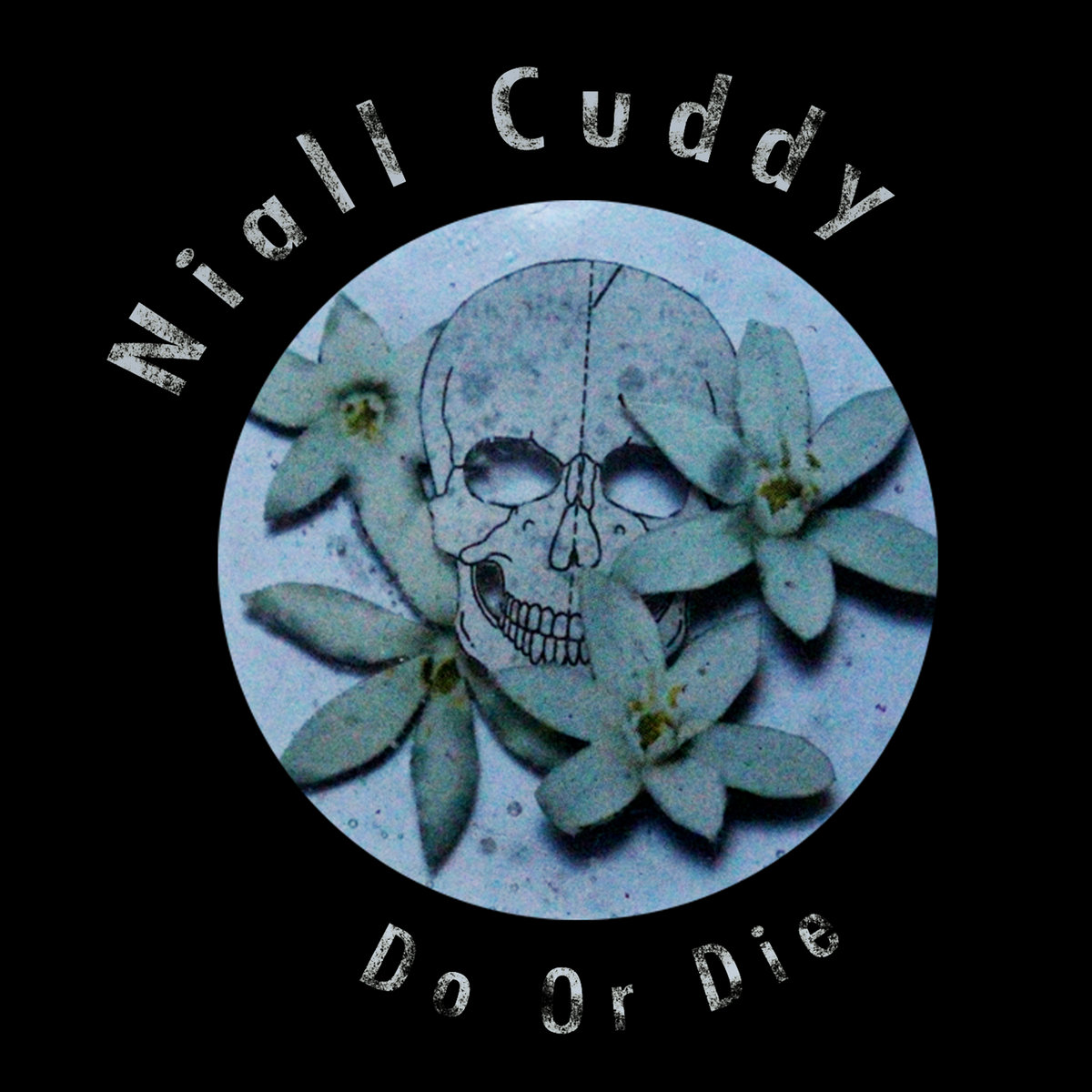 Do or Die (Single) cover