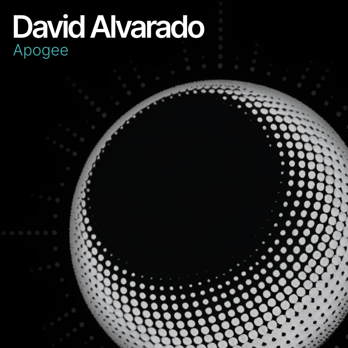 シールド　DAVID ALVARADO 『DEVOTIONAL』 David Alvarado / Devotional (12EP) - silencia music store