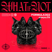 formula303 — What If Not EP