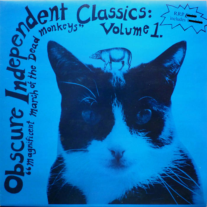 Obscure Independent Classics Volume 1 | Cordelia Records