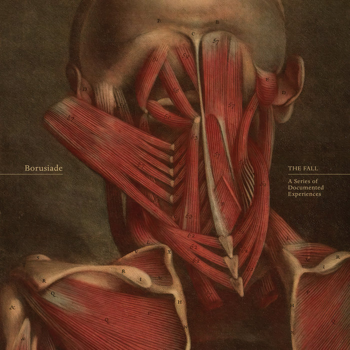 THE FALL A Series of Documented Experiences Borusiade