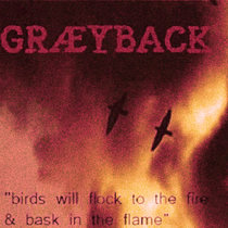 Birds Will Flock To The Fire And Bask In The Flame cover art