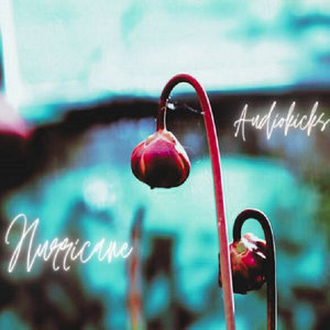 Hurricane cover