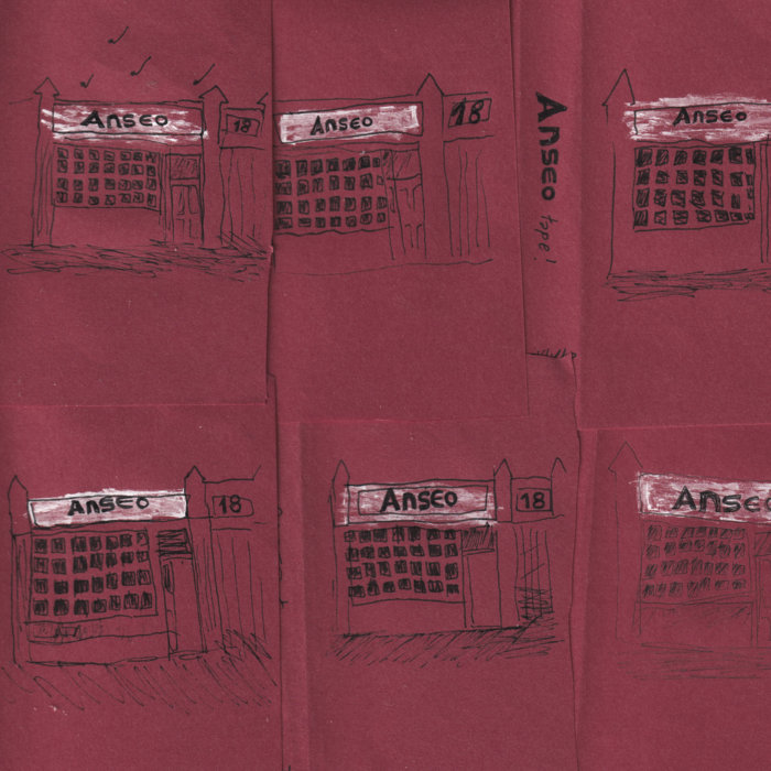 ANSEO LIVE TAPE | Various Artists | SKELLYTAPES