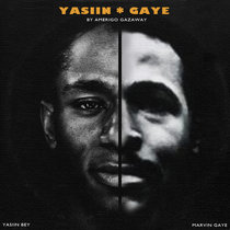 Yasiin Gaye: The Departure [Radio Edits] cover art