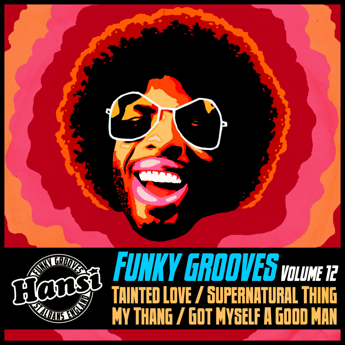 Funky Grooves Vol 12 | Viking Grooves