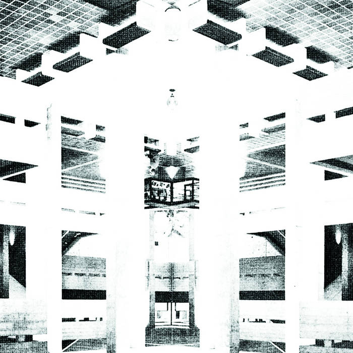 The Charged Void | BRUTALISM