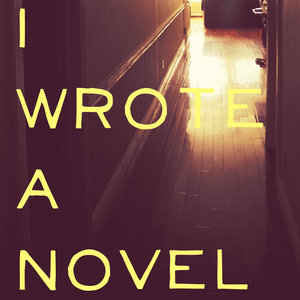 I Wrote A Novel cover