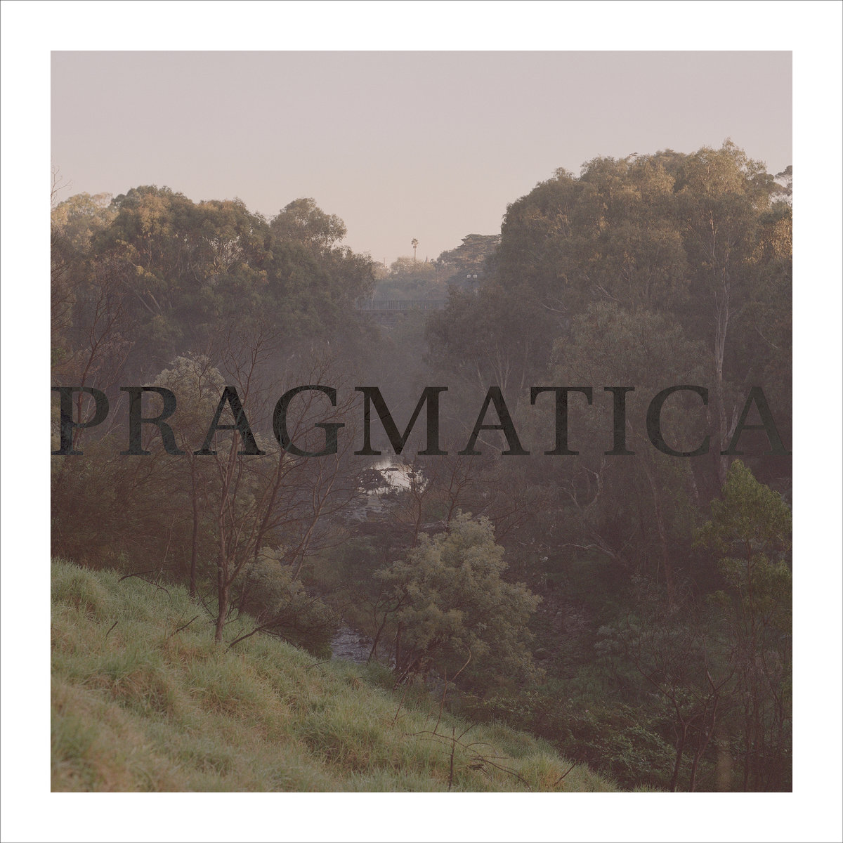 Pragmatica | Dull Reality