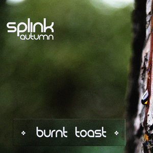 Burnt Toast cover