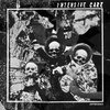 Antibodies (LUNGS-182)