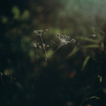 Notice that, cover art