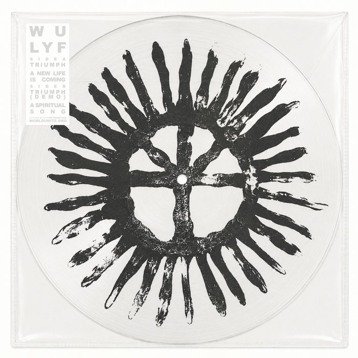 Pochette de LYF024 par WU LYF