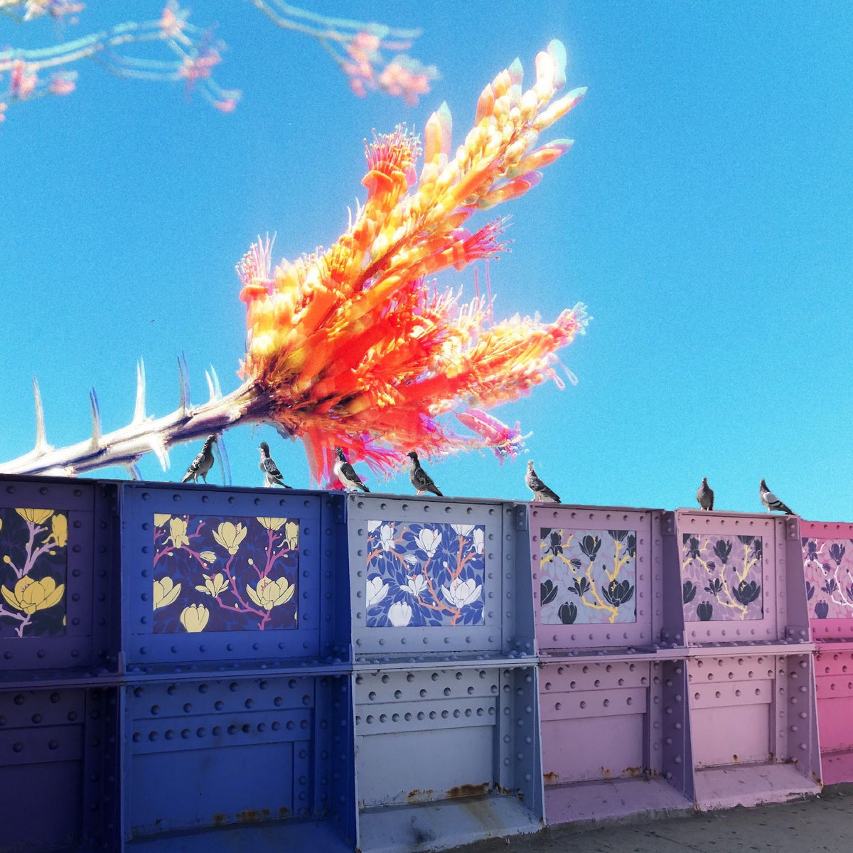 Weak Automatic by Fixtures