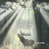 A Peace of Light