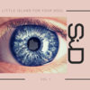 littleislandforyoursoul.bandcamp.com