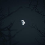 Eternal Nightfall