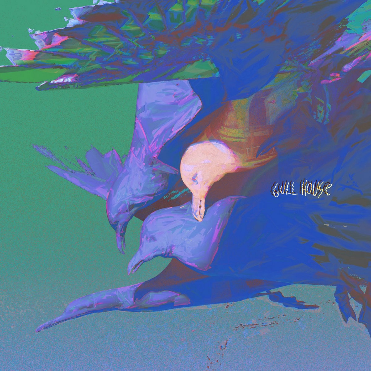rile*books rile] GULLET インタビュー Gulls ブック Books