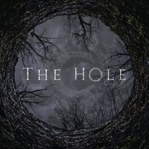 The Hole cover art