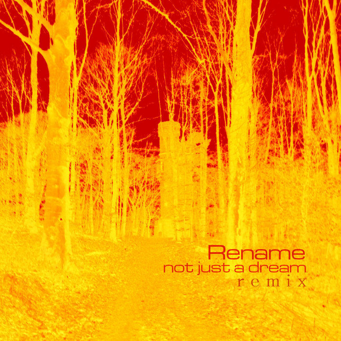 Not Just A Dream (Remix) Rename Mindmodvl