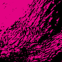 Walrus Noise Wall [IDD018] cover art