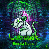Smelly Illusion cover art