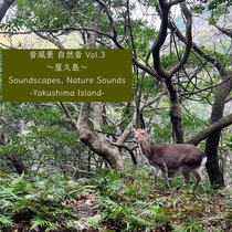 [Album] Soundscapes, Nature Sounds Vol.3 -Yakushima Island- cover art
