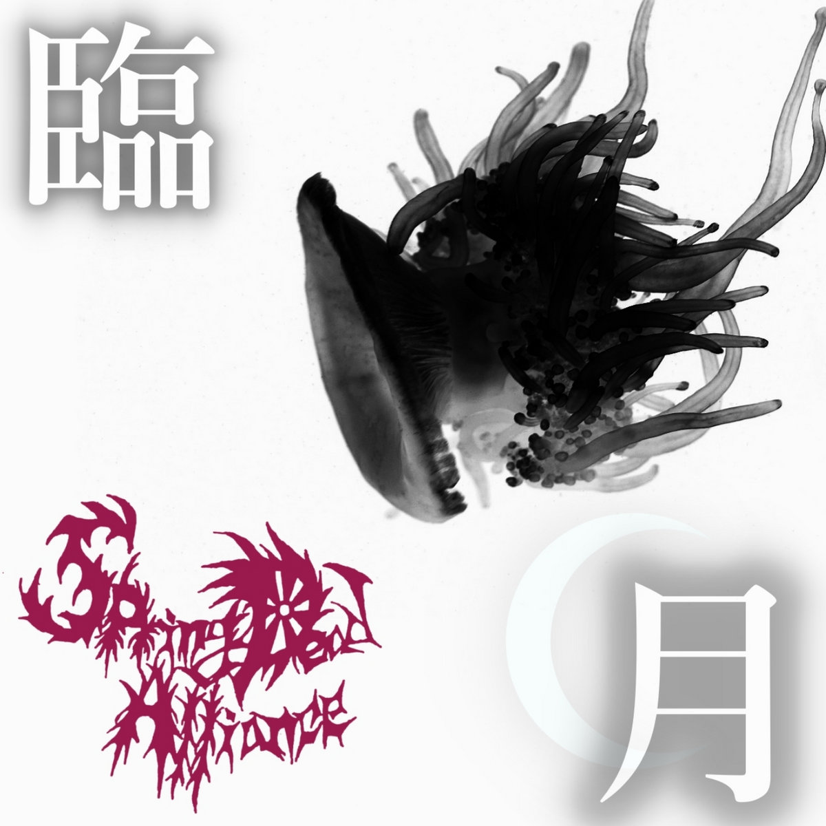 臨月 Spring Dead Alliance 春屍同盟