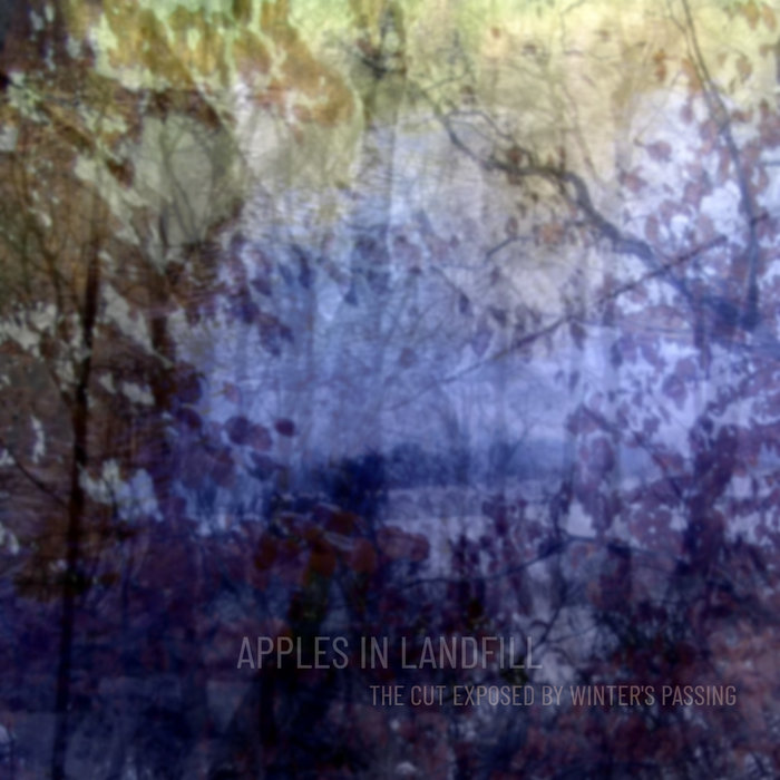 The Cut Exposed By Winter's Passing | Apples in Landfill