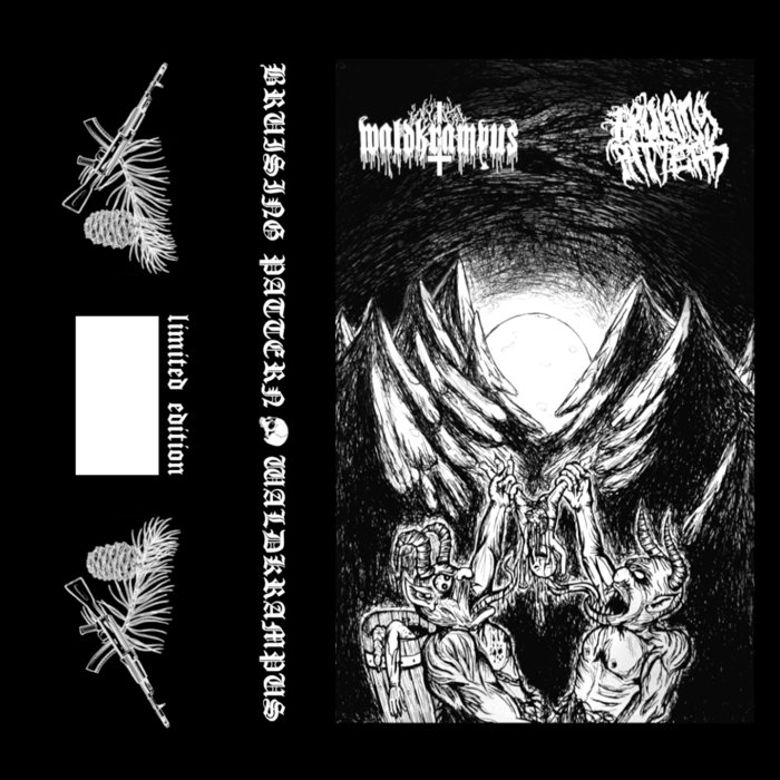 FIV - NMBR 150: Waldkrampus / Bruising Pattern Split | Fall Into Void Recs