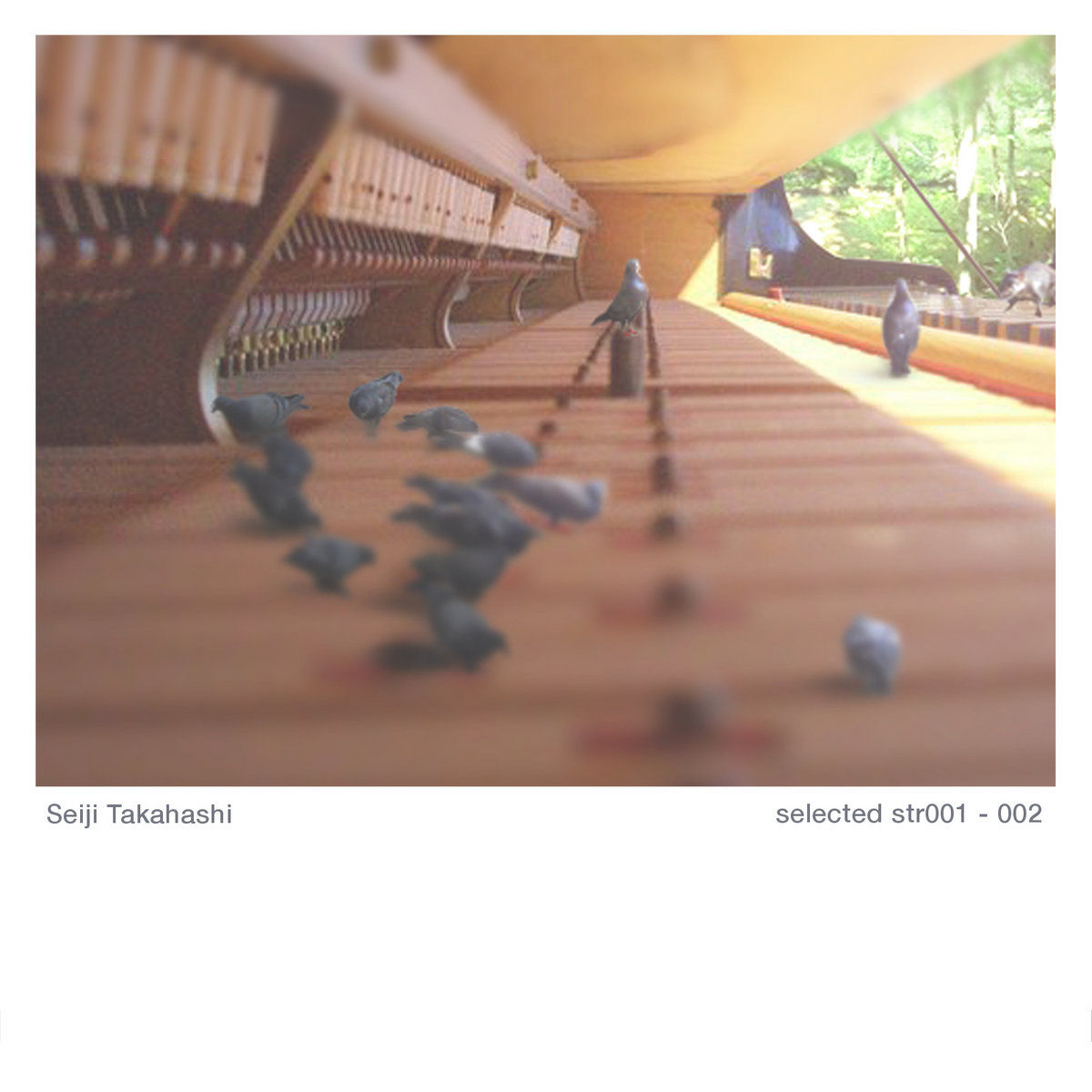 selected str001 - 002 | Seiji Takahashi