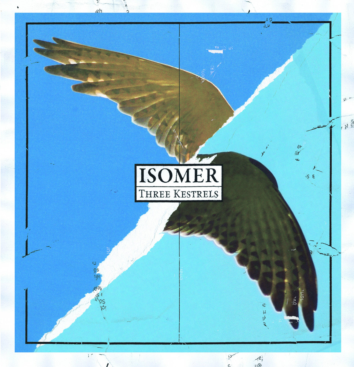 THREE KESTRELS ISOMER Tesco Distribution Germany
