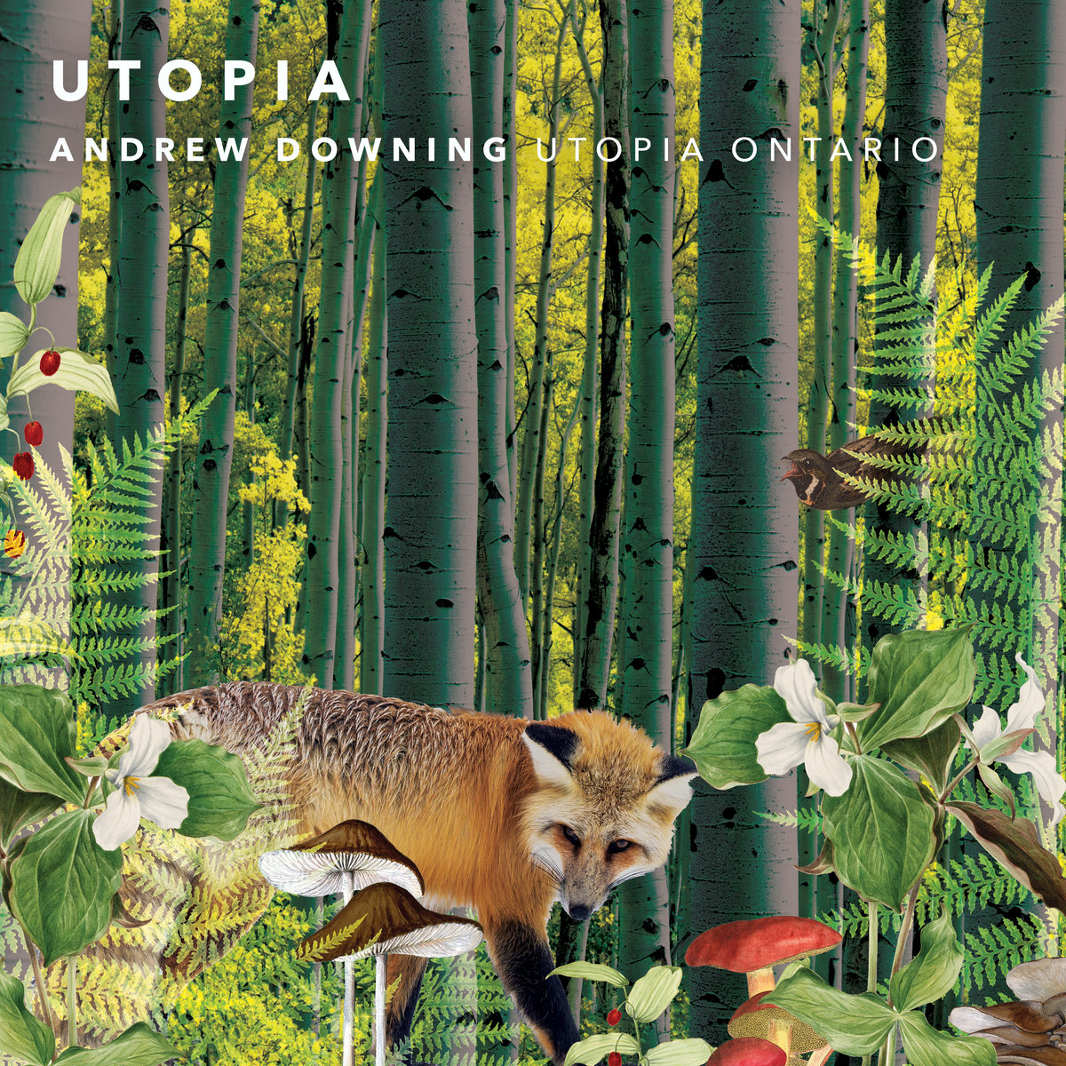 Utopia Ontario | Andrew Downing